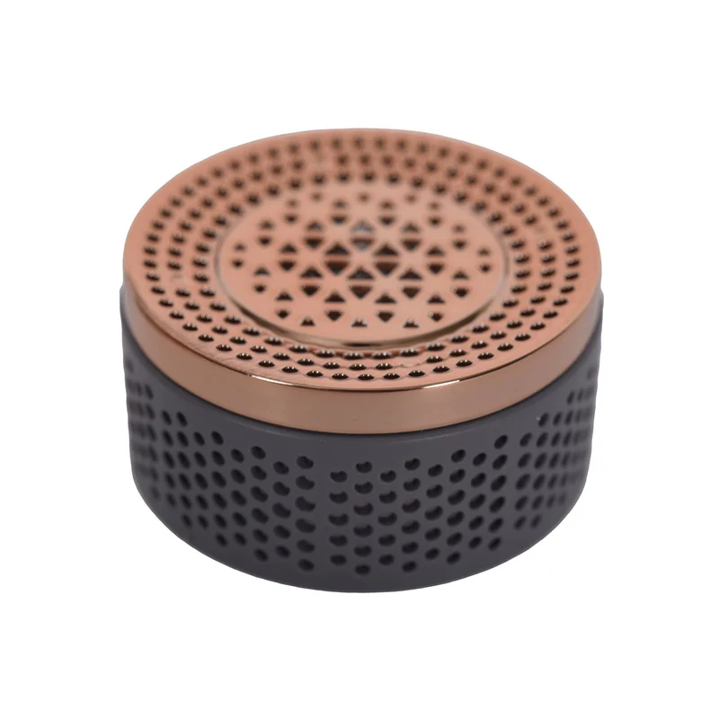 Hinteres Gitter des Haartrockners Rowenta SS-1810003151