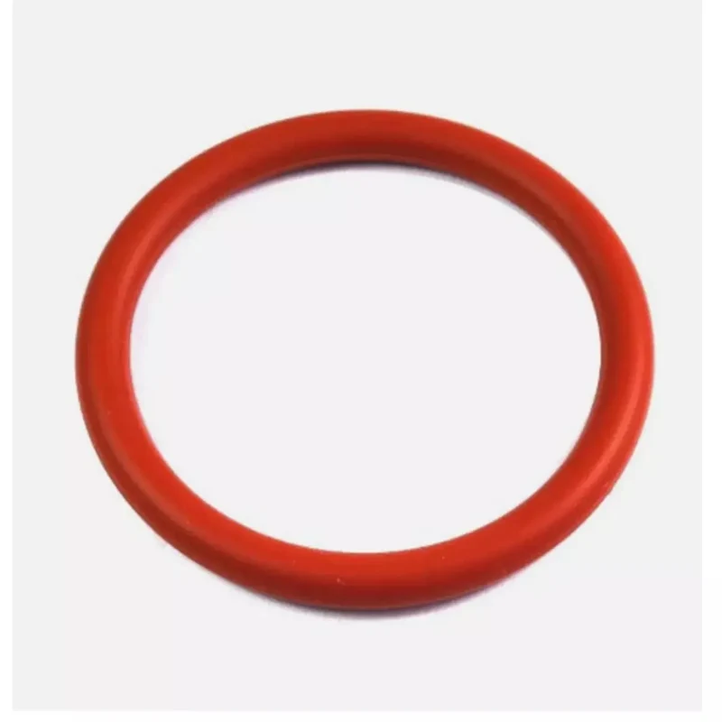 Saeco Dichtungsring Kaffeemaschine 996530059406