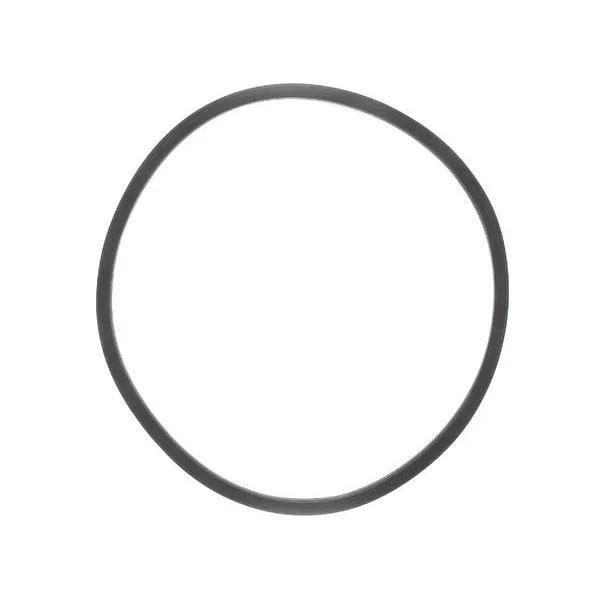 Gummidichtung für Electrolux Waschmaschinentür 1251142103