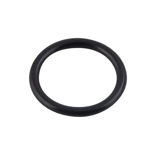O-Ring für Immergas Eolo Mini Kessel 3.018189