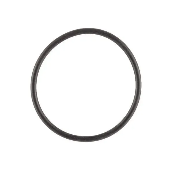 O-Ring für Fagor Kessel MU0888613 kompatibel mit CE24E1N FEB24AR1N
