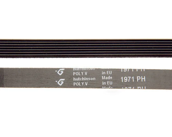 AEG Trocknerriemen | 1366033007