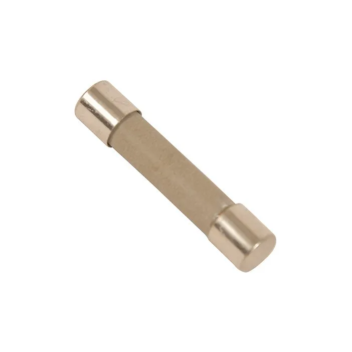 Electrolux Mikrowellensicherung 50286972000