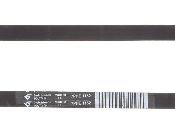 FAGOR Waschmaschinenriemen as0003721 | AS0003721