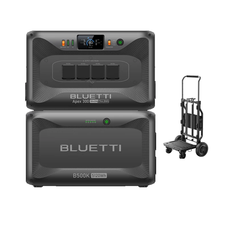 Apex 300+B500K+Trolley 2